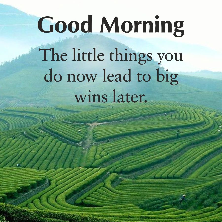 Good Morning
The little things you
do now lead to big
wins later.