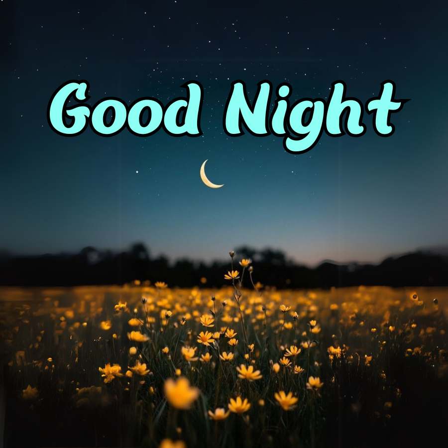 Good Morning Quotes