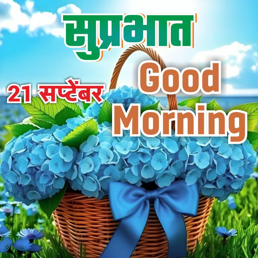 Good Morning Quotes