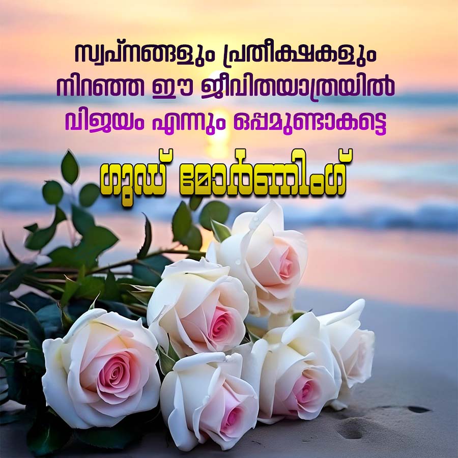 Good Morning Quotes