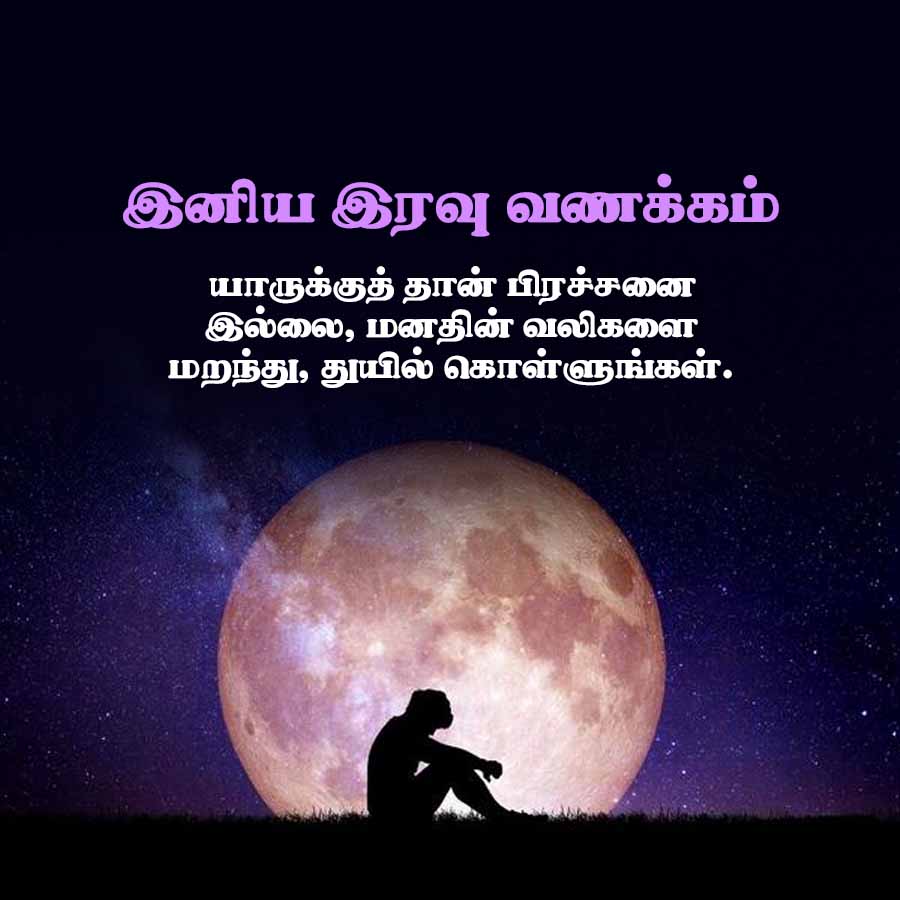 இனிய இரவு வணக்கம்
யாருக்குத் தான் பிரச்சனை
இல்லை, மனதின் வலிகளை
மறந்து, துயில் கொள்ளுங்கள்.