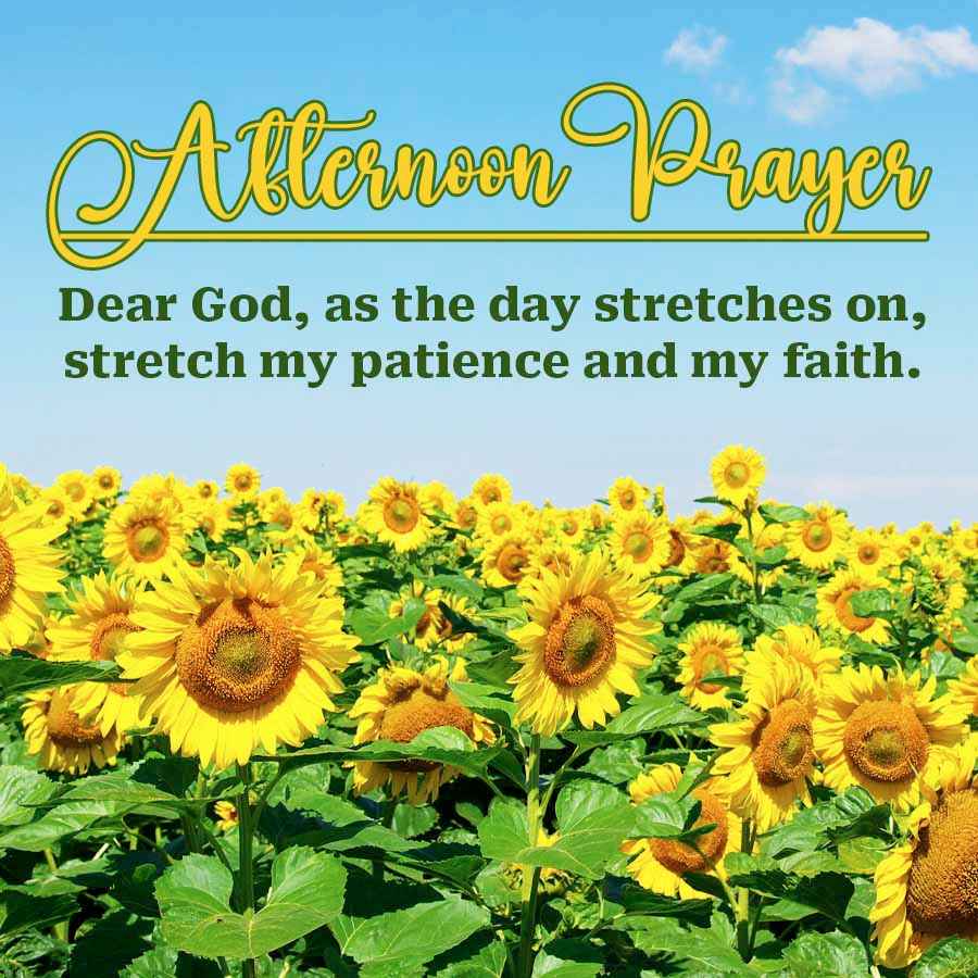 Allerneen Prayer
Dear God, as the day stretches on,
stretch my patience and my faith.