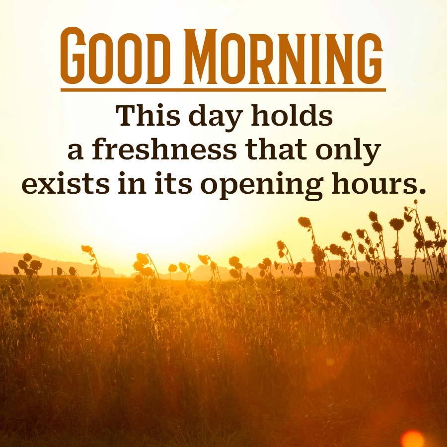 GOOD MORNING
This day holds
a freshness that only
exists in its opening hours.