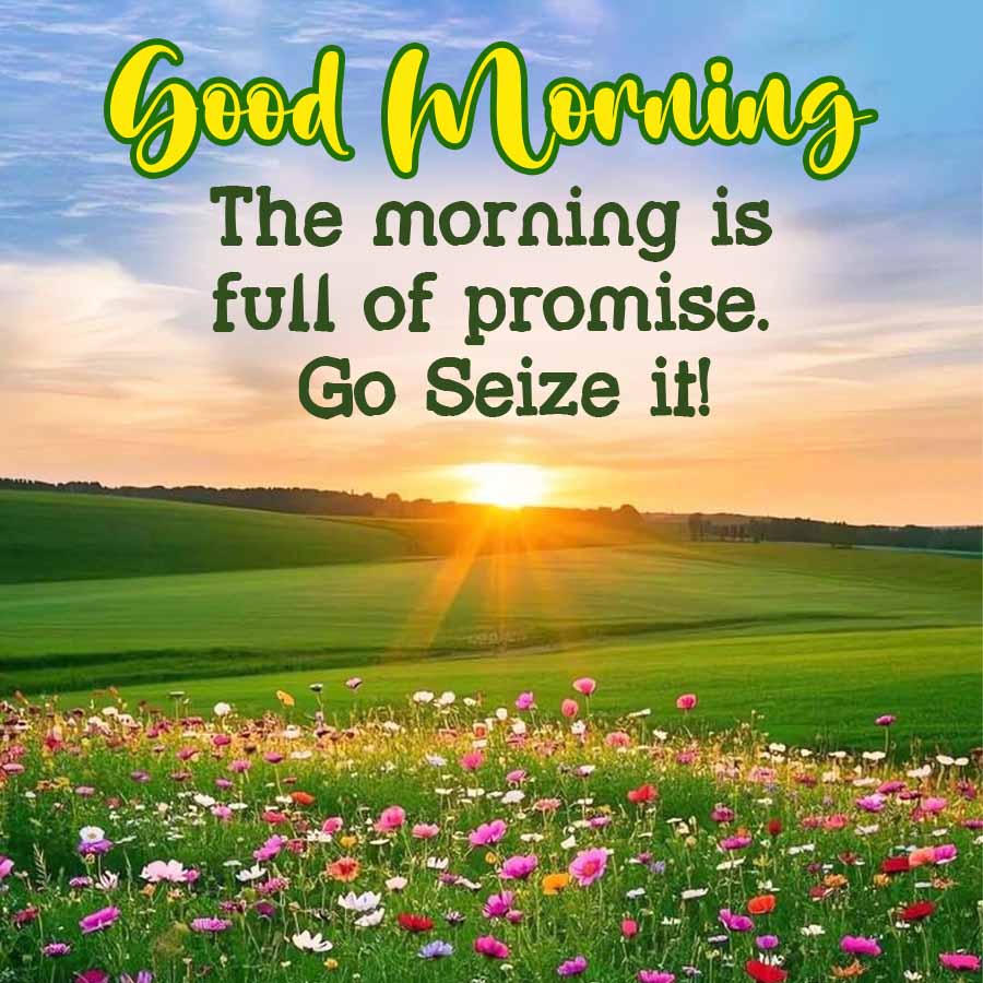 Good Morning
The morning is
full of promise.
Go Seize it!