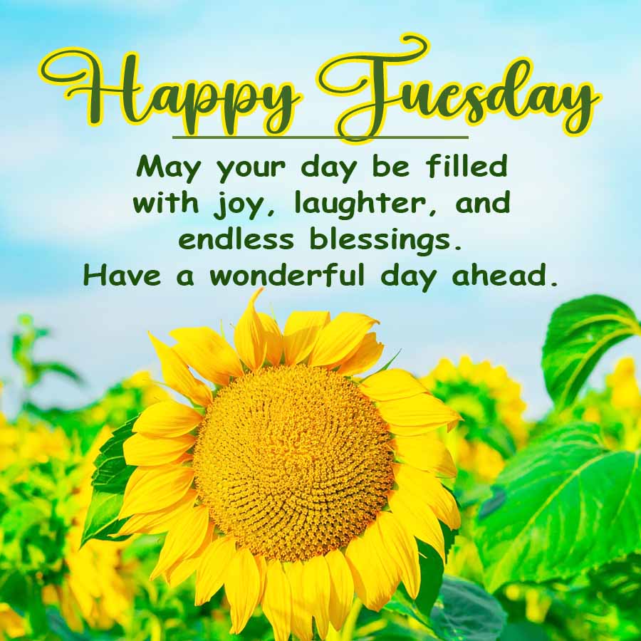 Happy Tuesday
May your day be filled
with joy, laughter, and
endless blessings.
Have a wonderful day ahead.