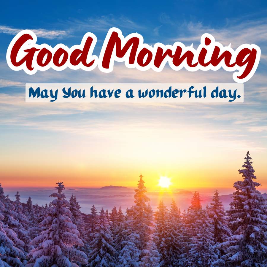 Good Morning
May You have a wonderful day.