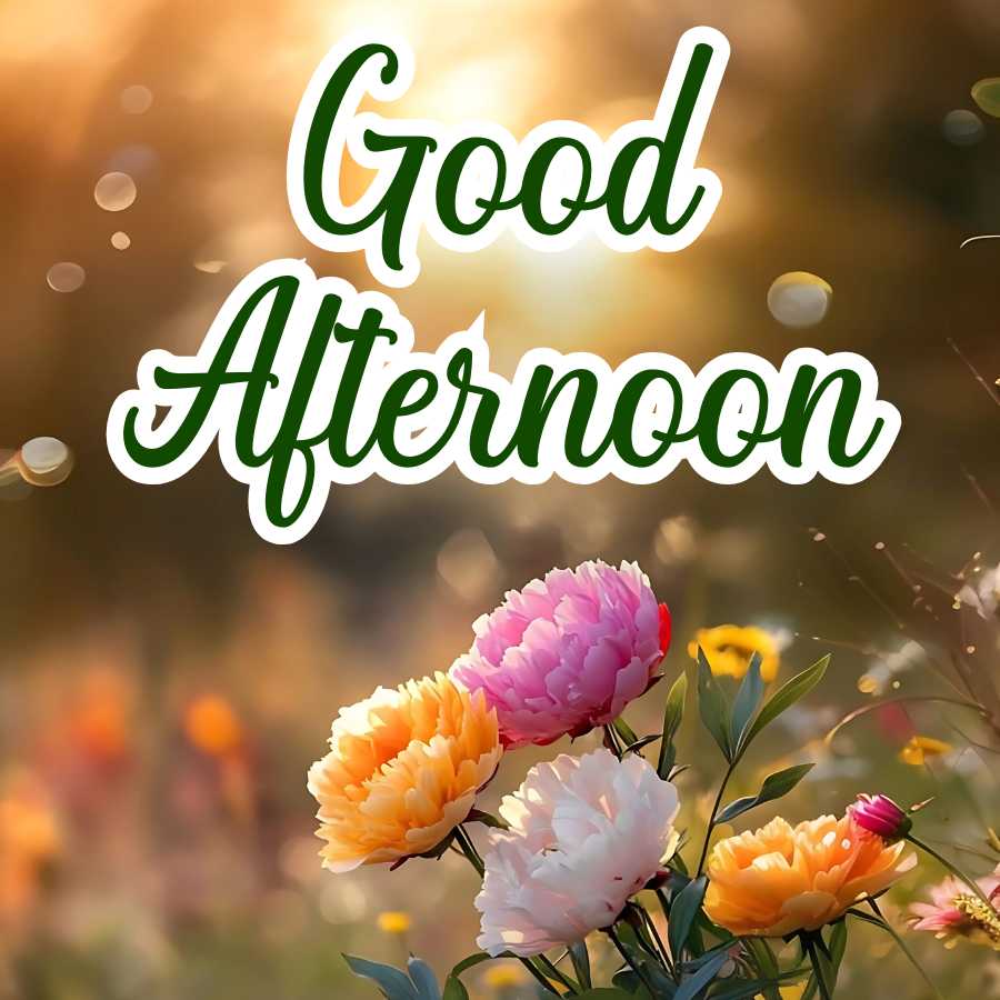 Good Morning Quotes