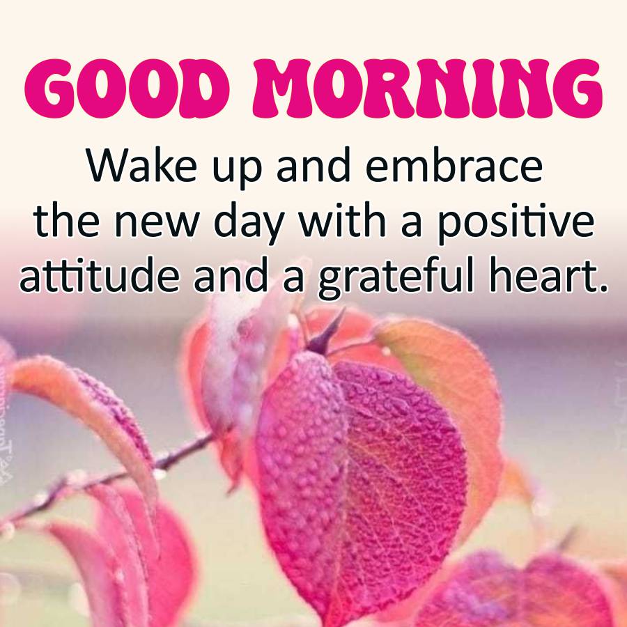 GOOD MORNING
Wake up and embrace
the new day with a positive
attitude and a grateful heart.