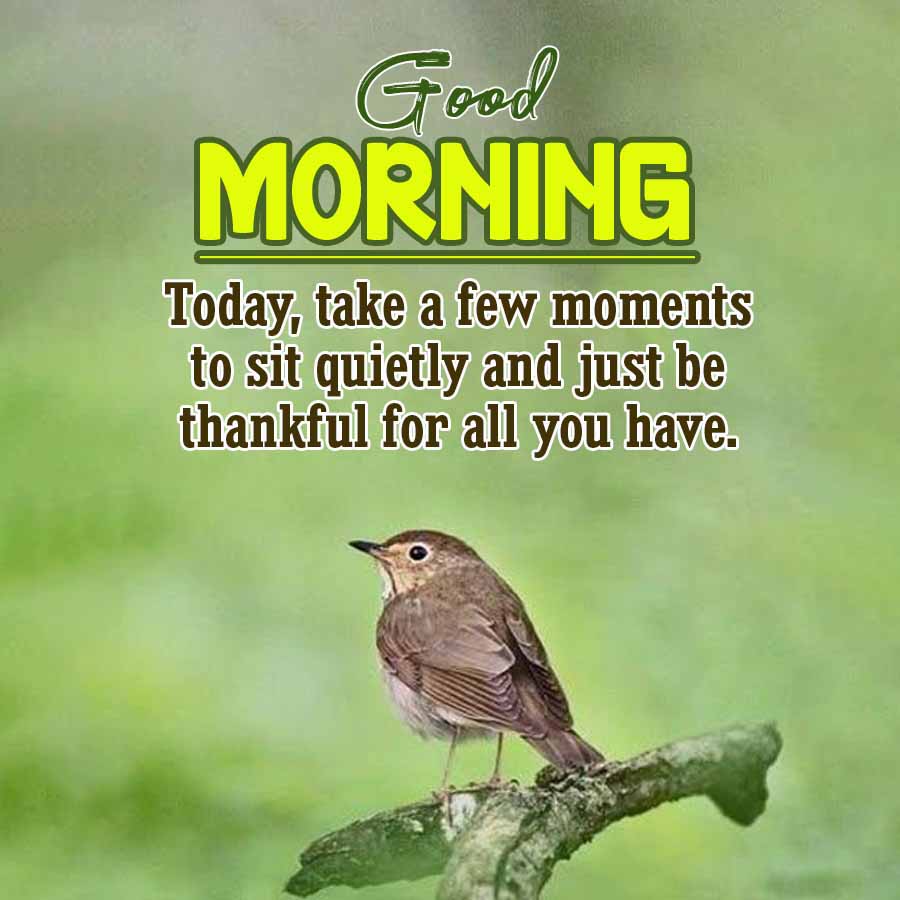 Good
MORNING
Today, take a few moments
to sit quietly and just be
thankful for all you have.