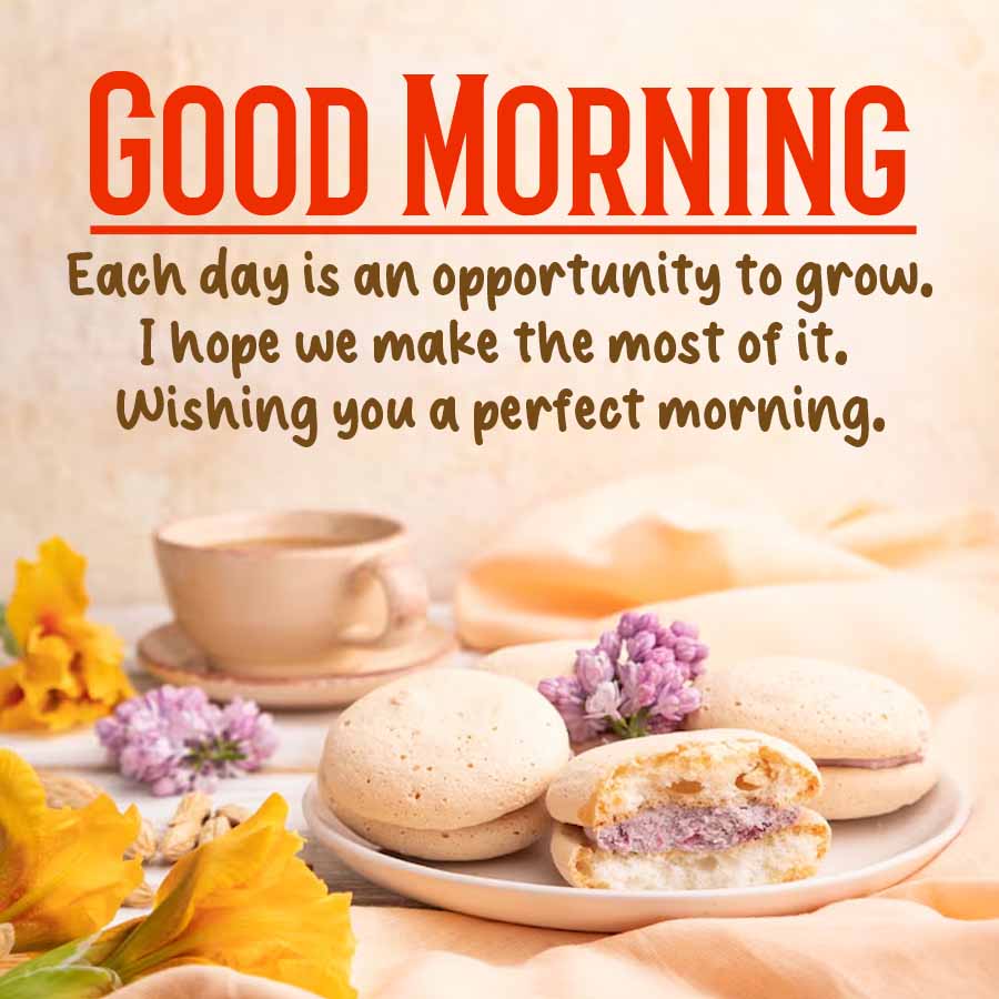 GOOD MORNING
Each day is an opportunity to grow.
I hope we make the most of it.
Wishing you a perfect morning.