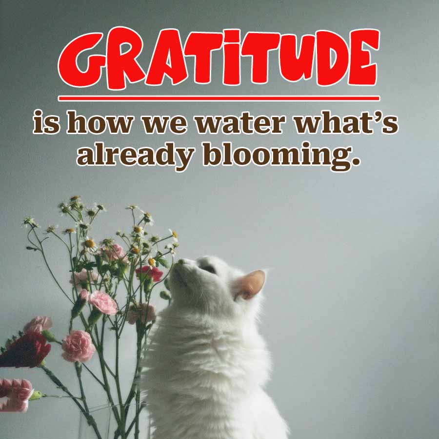 GRATITUDE
is how we water what's
already blooming.