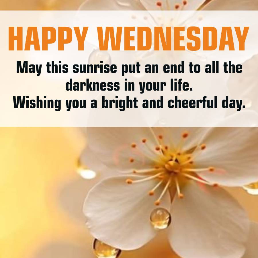 HAPPY WEDNESDAY
May this sunrise put an end to all the
darkness in your life.
Wishing you a bright and cheerful day.