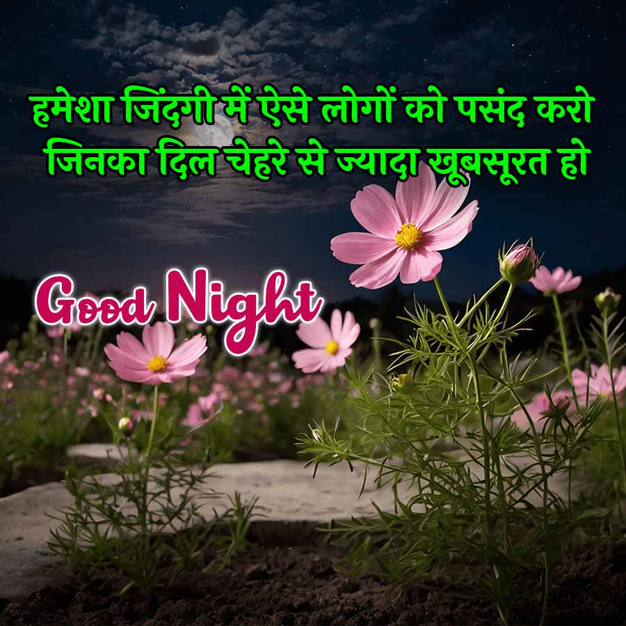 हमेशा जिंदगी में ऐसे लोगों को पसंद करो
जिनका दिल चेहरे से ज्यादा खूबसूरत हो
Good Night