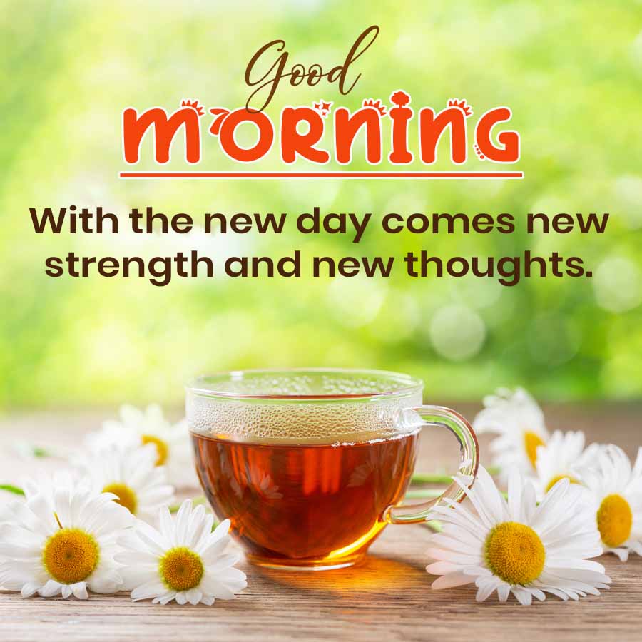 Good
Morning
With the new day comes new
strength and new thoughts.