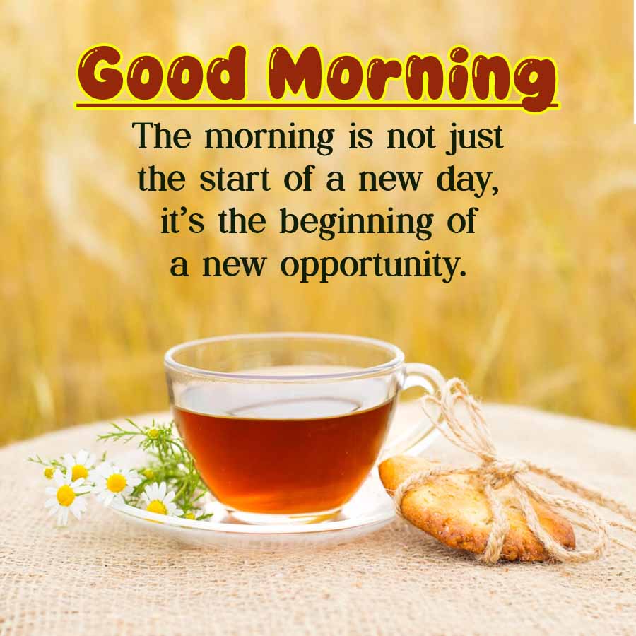 Good Morning
The morning is not just
the start of a new day,
it's the beginning of
a new opportunity.