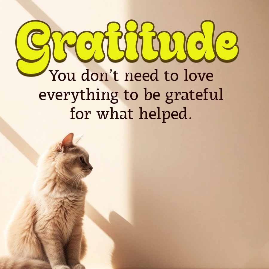 Gratitude
You don't need to love
everything to be grateful
for what helped.