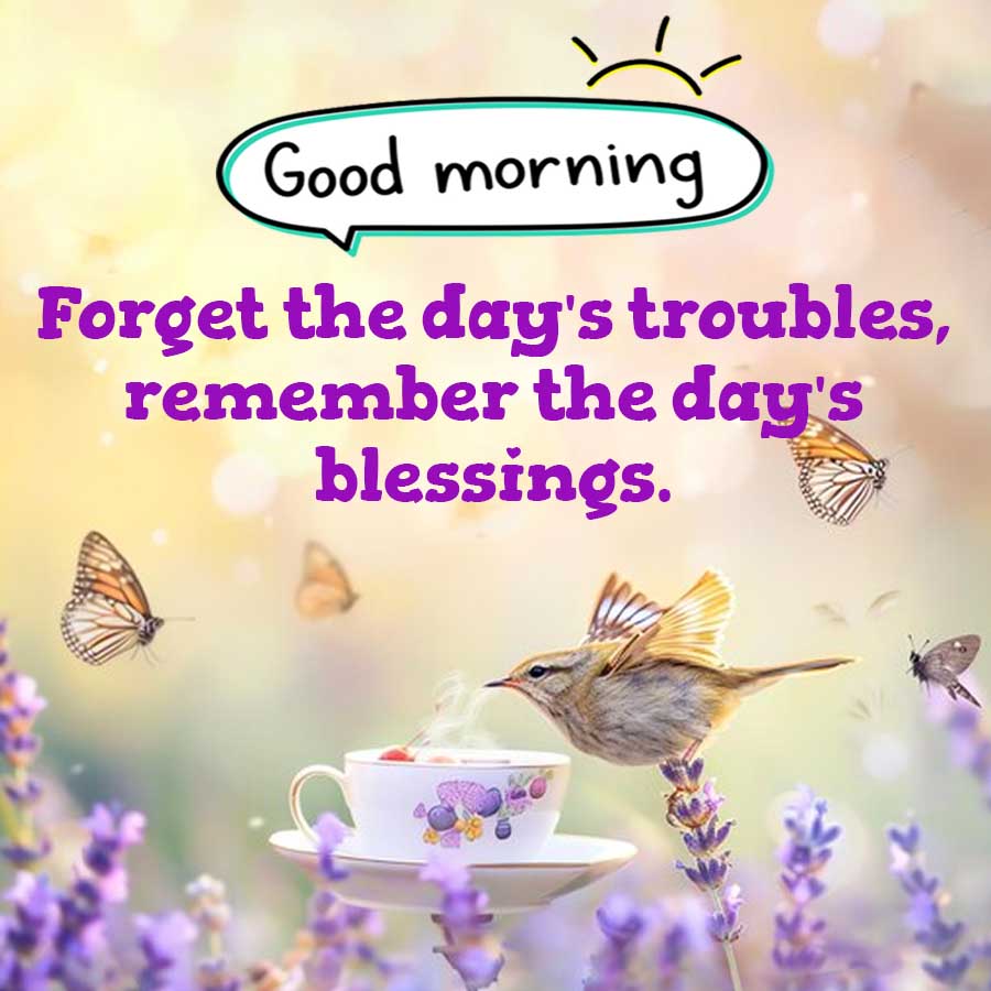Good morning
Forget the day's troubles,
remember the day's
blessings.