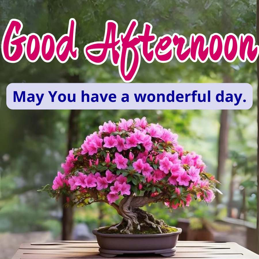 Good Afternoon
May You have a wonderful day.
