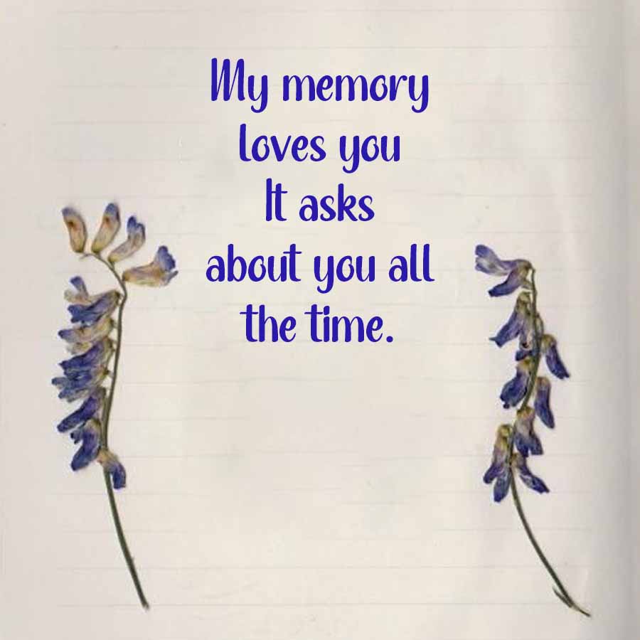 My memory
loves you
It asks
about you all
the time.