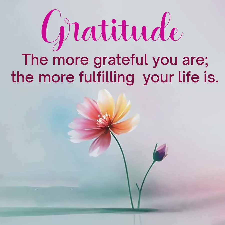 Gratitude
The more grateful you are;
the more fulfilling your life is.