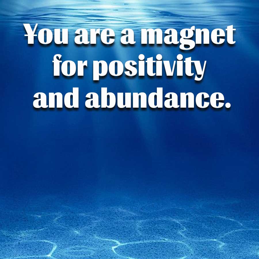 You are a magnet
for positivity
and abundance.