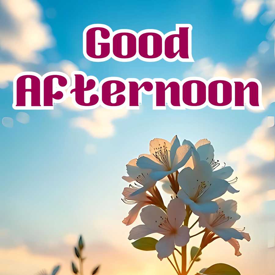 Good Morning Quotes