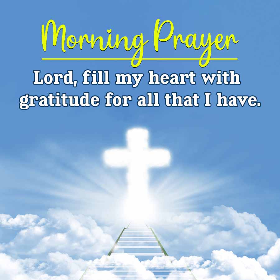 Morning Prayer
Lord, fill my heart with
gratitude for all that I have.