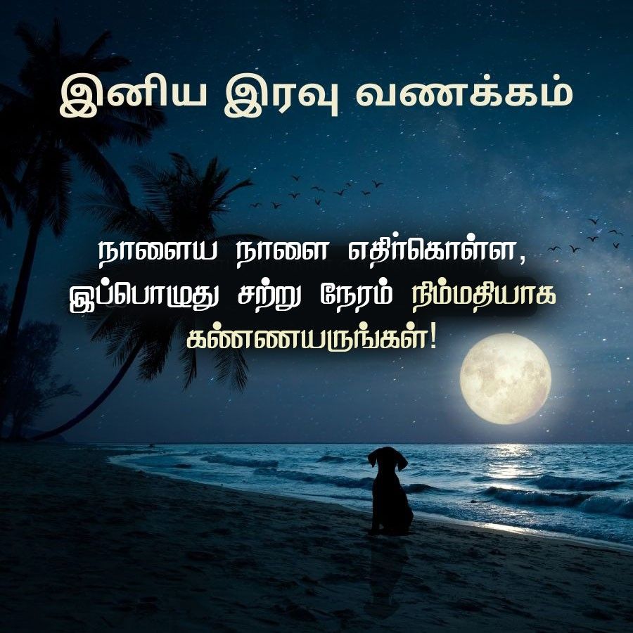 இனிய இரவு வணக்கம்
நாளைய நாளை எதிர்கொள்ள,
இப்பொழுது சற்று நேரம் நிம்மதியாக
கண்ணயருங்கள்!