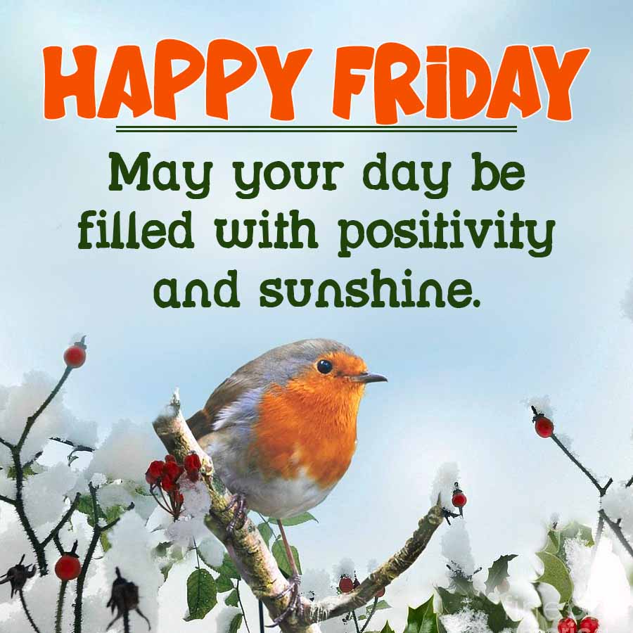 HAPPY FRIDAY
May your day be
filled with positivity
and sunshine.