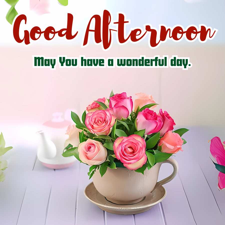 Good Afternoon
May You have a wonderful day.