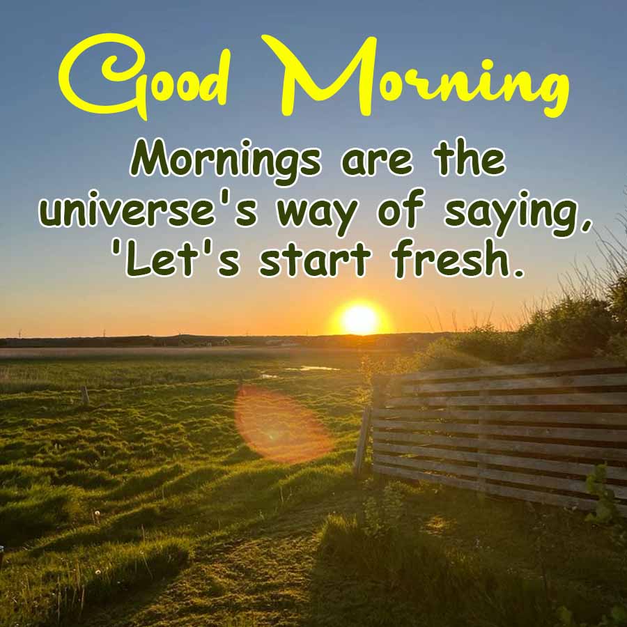 Good Morning
Mornings are the
universe's way of saying,
'Let's start fresh.