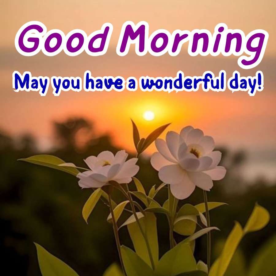 Good Morning
May you have a wonderful day!