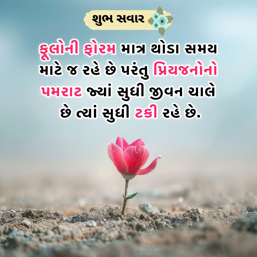 શુભ સવાર
ફૂલોની ફોરમ માત્ર થોડા સમય
માટે જ રહે છે પરંતુ પ્રિયજનોનો
પમરાટ જ્યાં સુધી જીવન ચાલે
છે ત્યાં સુધી ટકી રહે છે.