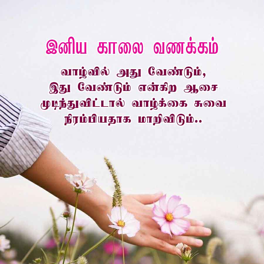 Good Morning Quotes