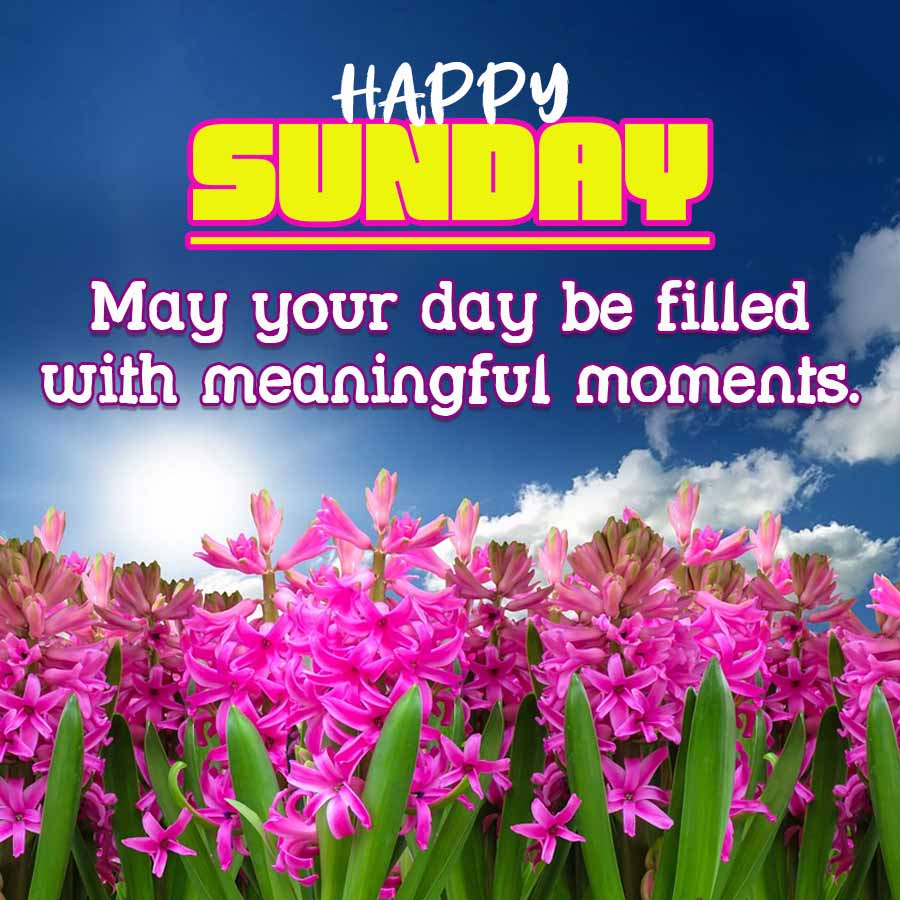 HAPPY
SUNDAY
May your day be filled
with meaningful moments.