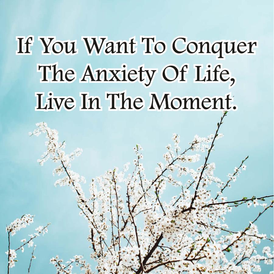 If You Want To Conquer
The Anxiety Of Life,
Live In The Moment.