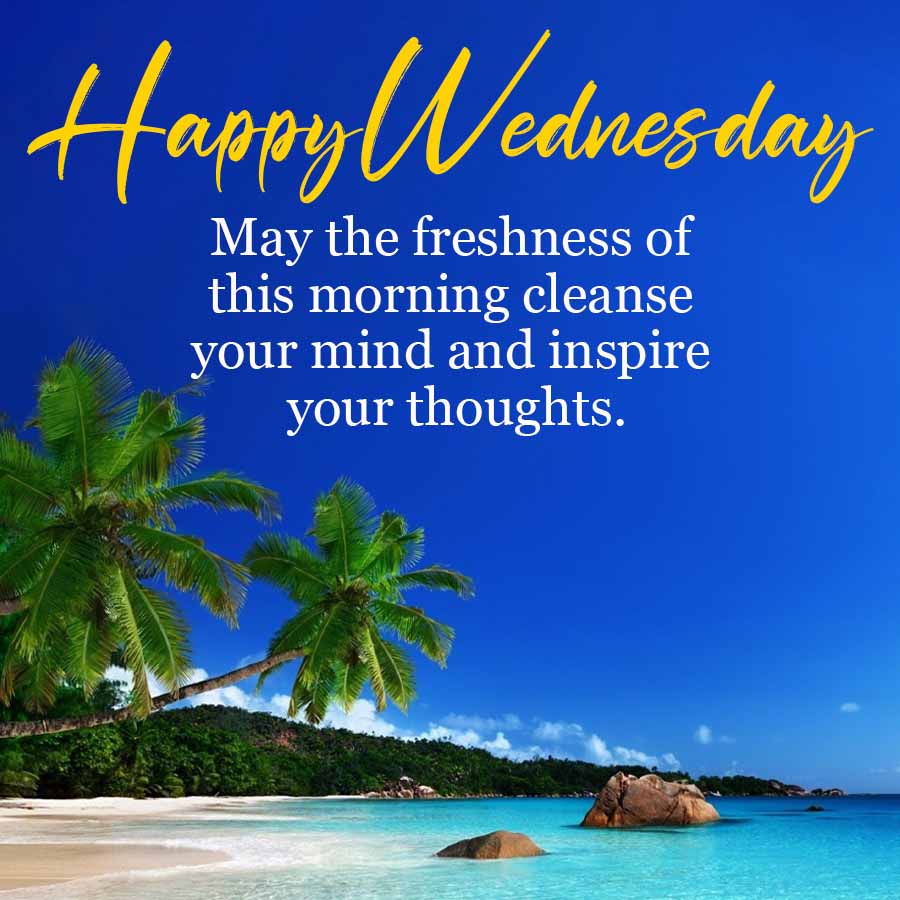 Happy Wednesday
May the freshness of
this morning cleanse
your mind and inspire
your thoughts.