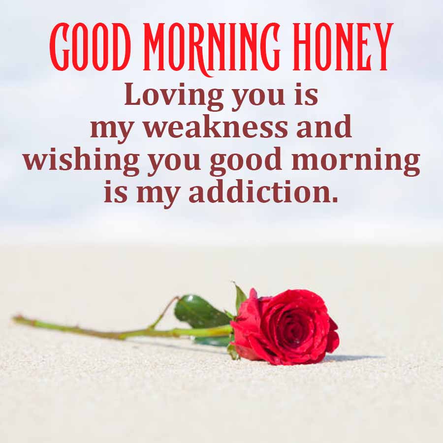 GOOD MORNING HONEY
Loving you is
my weakness and
wishing you good morning
is my addiction.