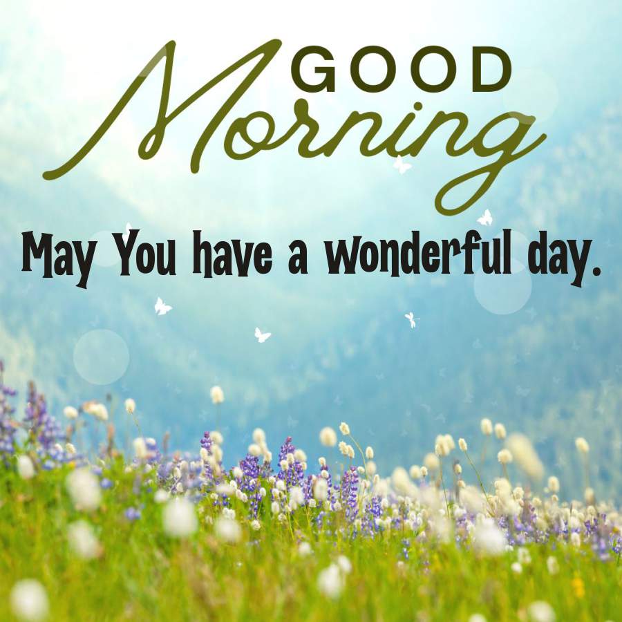 Morning
May You have a wonderful day.