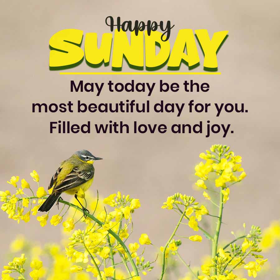Good Morning Quotes