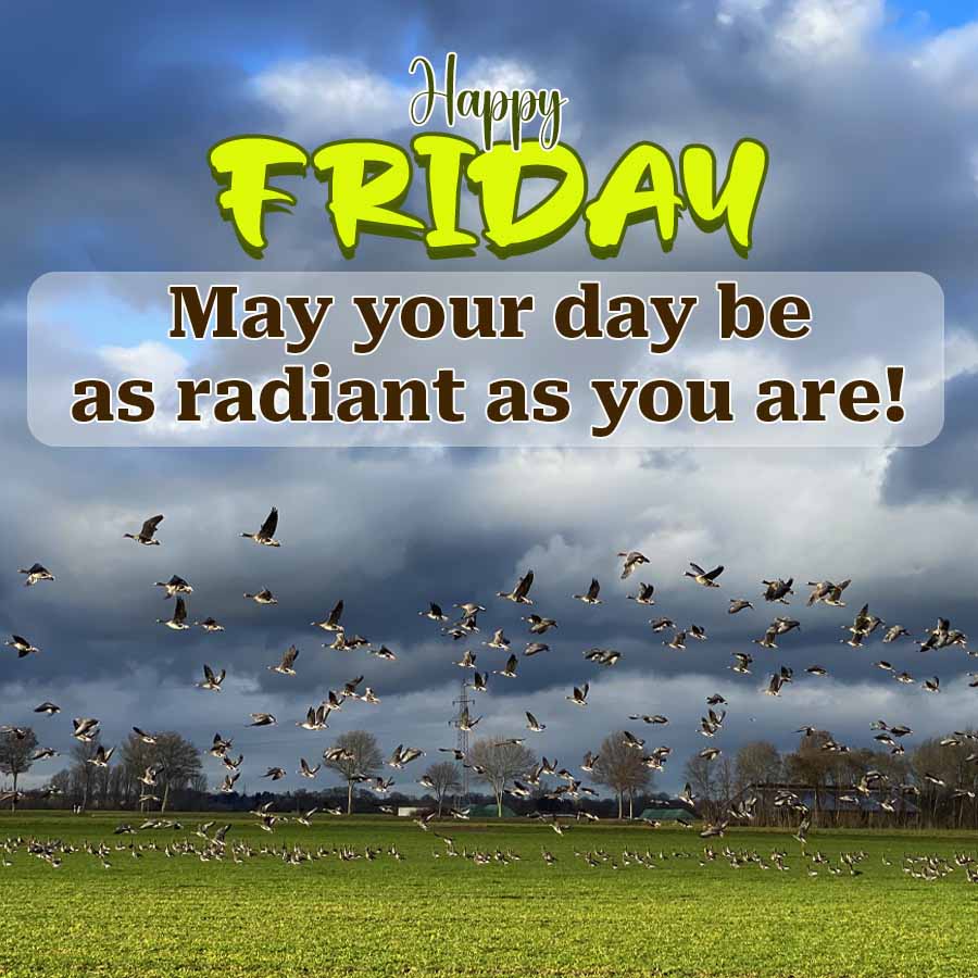 Happy
FRIDAY
May your day be
as radiant as you are!