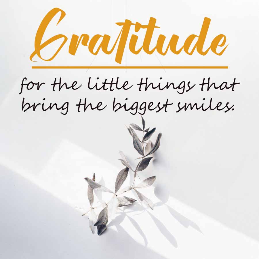 Cratitude
for the little things that
bring the biggest smiles.