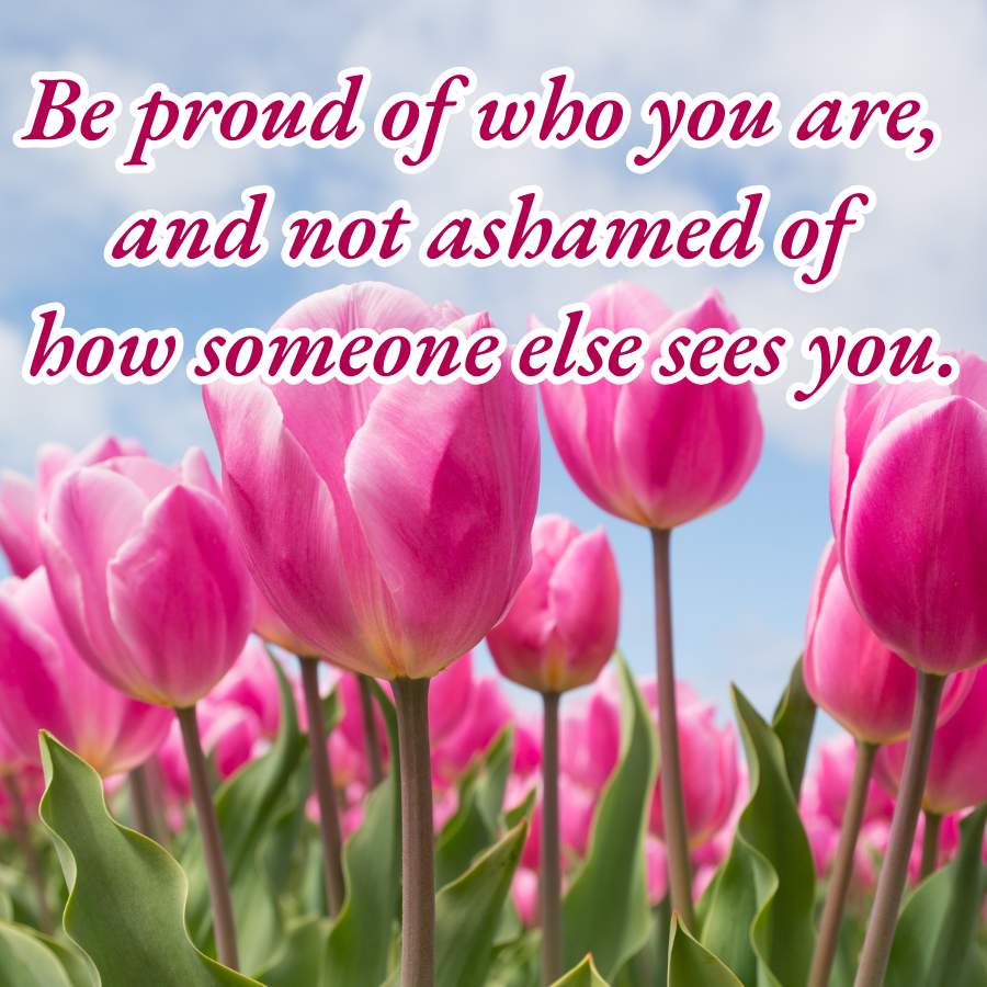 Be proud of who you are,
and not ashamed of
how someone else sees you.