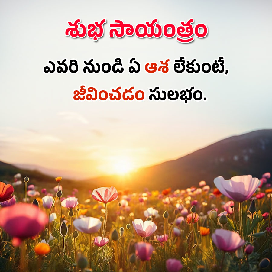 Good Morning Quotes