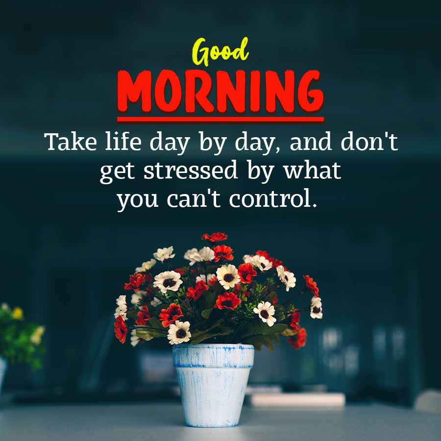 Good
MORNING
Take life day by day, and don't
get stressed by what
you can't control.