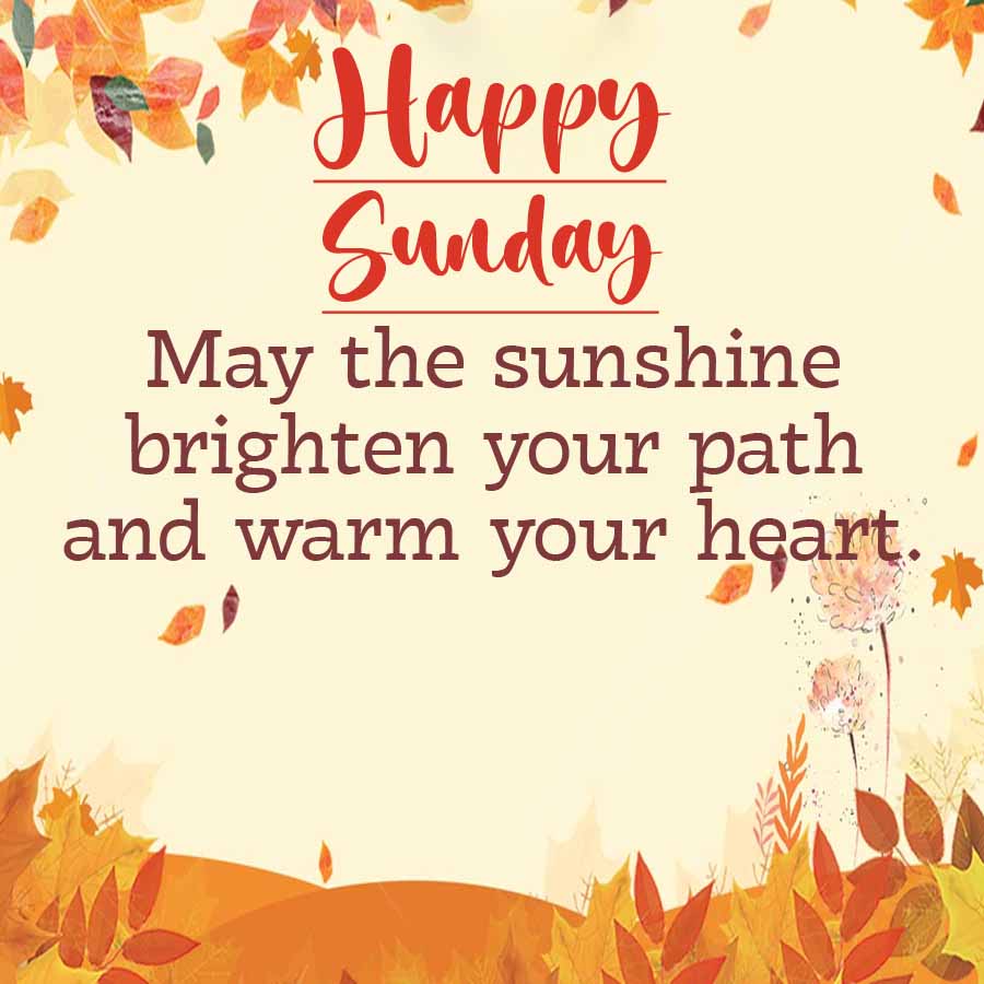 Happy
Sunday
May the sunshine
brighten your path
and warm your heart.