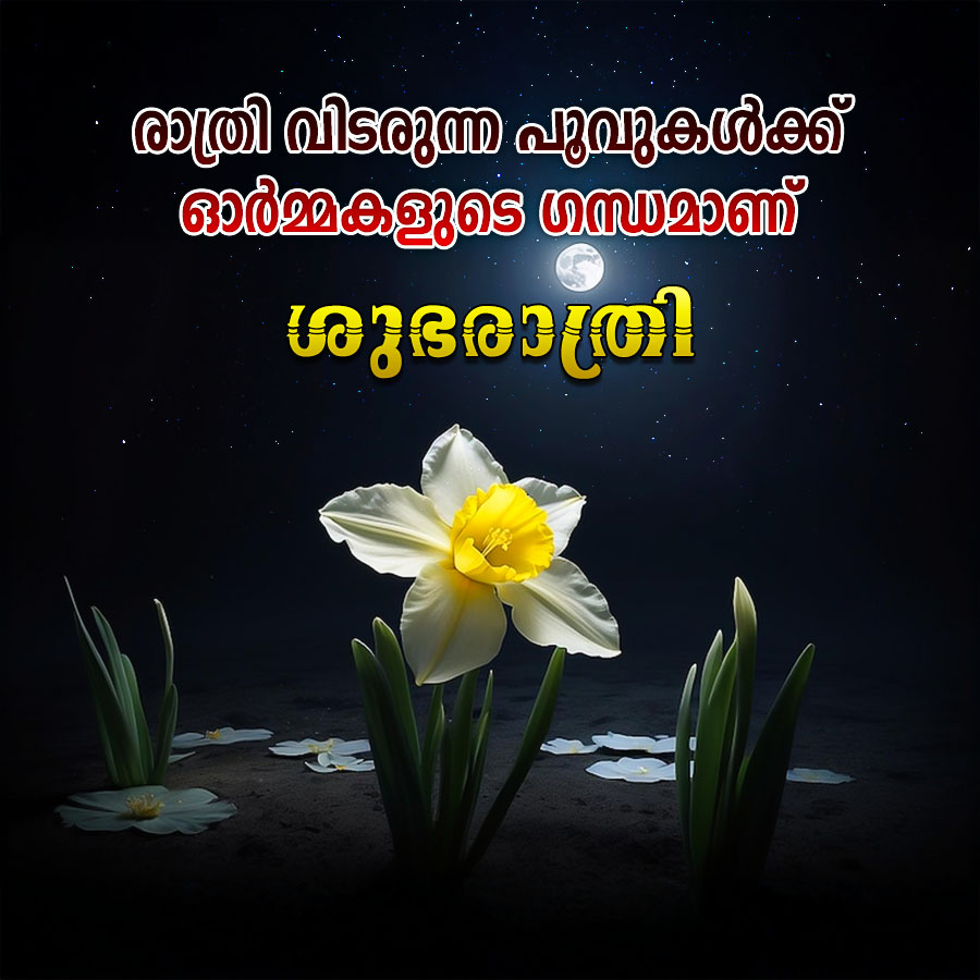 ഓർമ്മകളുടെ തന്ത്രമാണ്
ശുഭരാത്രി