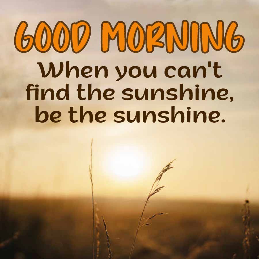 GOOD MORNING
When you can't
find the sunshine,
be the sunshine.