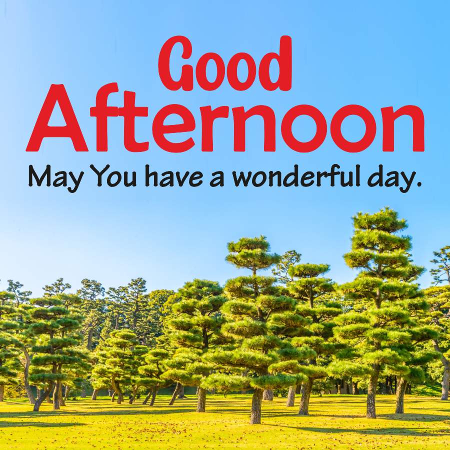 Good
Afternoon
May You have a wonderful day.