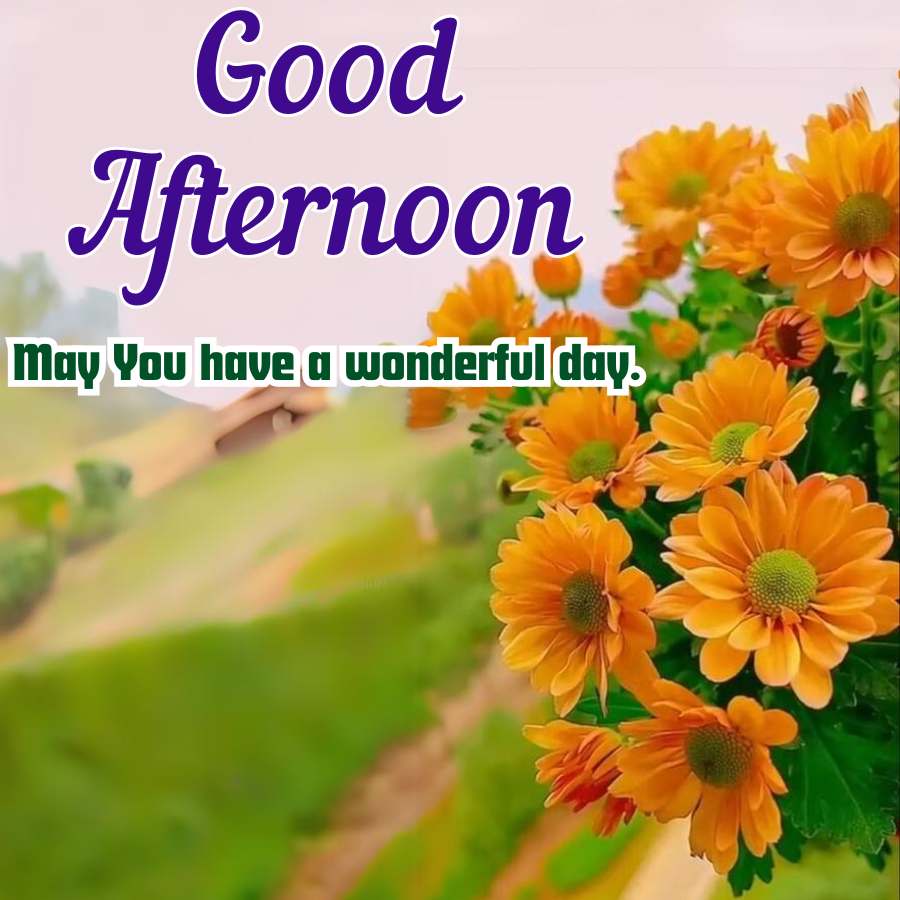 Good
Afternoon
May You have a wonderful day.